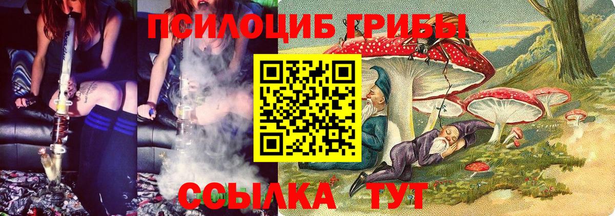Среднеуральск  Галлюциногенные грибы Psilocybe  Вход с VPN 
